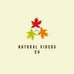 Natural videos