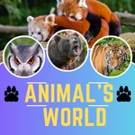 Animal's world