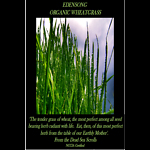 EdenSong Wheatgrass