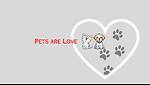 Pets are Love