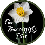 The Narcissist's Files