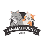 Funny videos.