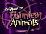 Funniest  Animal Planet