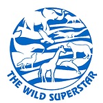 THE WILD SUPERSTAR