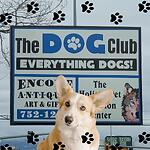 The Dog Club