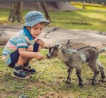 Kids fun with animals