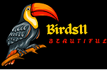 Beautiful birds videos