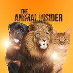 The Animal Insider