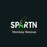 Life With The Monkeys & More