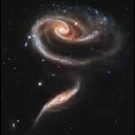 realspacevideos