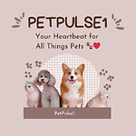 PetPulse - Your Heartbeat for All Things Pets 🐾❤️