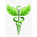 Medical and Nature Videos