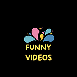 funny videos