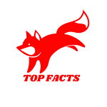 [ Enjoy Top Facts ]