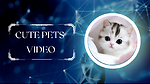 Cute pets video