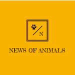 NEWS OF ANIMALS