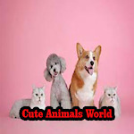 Watch Cute Animals Videos