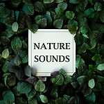 NatureSound995