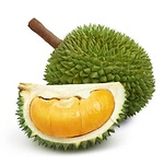 About Durian