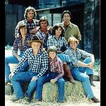 7 Brides for 7 Brothers 1982