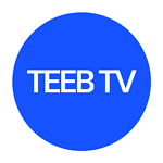 Teeb TV