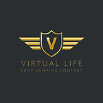 Virtual Life of a Drop-Shipper