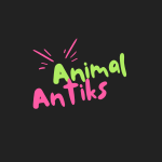 AnimalAntiksTv