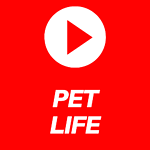 petlife1