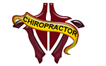 Tampa Chiropractic Services