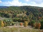 DoubleARanch: American Patriot Christian Remnant, Homesteaders, surviavalist self-sufficiency learners and educators, extreme 2A enthusiasts and prayerful stewards of what we have on loan from God.