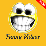 Funny Videos