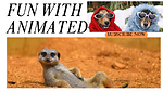 Animalanimated video