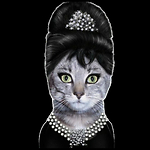 funny Cats and Kittens