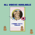 Funnypetsvideo
