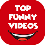 TOP FUNNY VIDEO | FUNNY ANIMAL VIDEO | COMEDY VIDEOS |