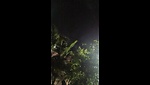 Multi videos