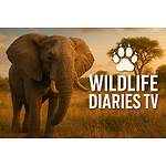 Wildlife Diaries TV