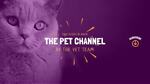 THE PET CHANNELS