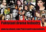 Pakistanindustry