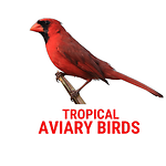 Tropical Aviary Birds - Torben Dehlholm
