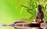 Healing body and minds