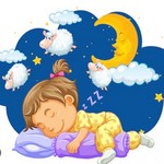 Sleepy Forest Stories
