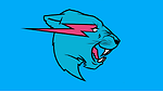Mr. Beast World
