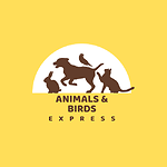 Animals & Birds Express 🦁🦉🌍