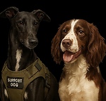 Mabel & Narla - Dog TV