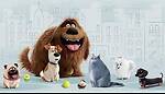 Adventures with Paws & Whiskers: Unforgettable Animal Moments