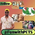 FunwithPetss