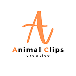 Animal Clips - Funny