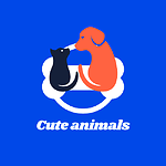 Cute Animals