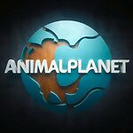 Animal Planet